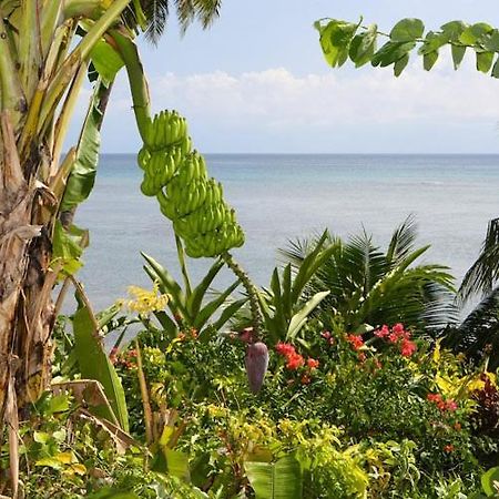 Coconut Grove Beachfront Cottages Matei Dış mekan fotoğraf