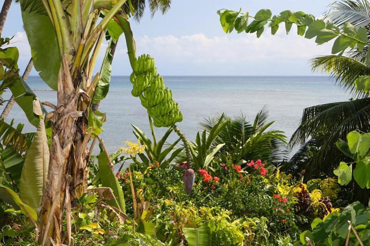 Coconut Grove Beachfront Cottages Matei Dış mekan fotoğraf